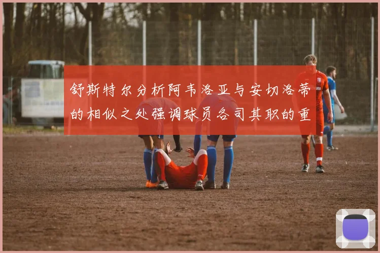 舒斯特尔分析阿韦洛亚与安切洛蒂的相似之处强调球员各司其职的重要性